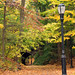 Autumnal Path through Prospect Park • <a style="font-size:0.8em;" href="http://www.flickr.com/photos/124925518@N04/30282821015/" target="_blank">View on Flickr</a>