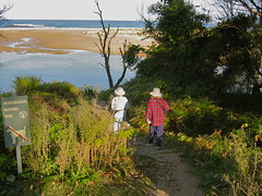 Trail to Durras Beach • <a style="font-size:0.8em;" href="http://www.flickr.com/photos/54702353@N07/10093084193/" target="_blank">View on Flickr</a>