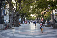 Street scenes on the Paseo del Prado in Havana.