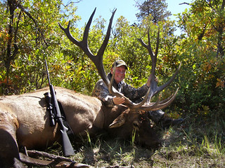 New Mexico Elk Hunt 56