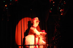 Terrence at the Country Bear Christmas Special • <a style="font-size:0.8em;" href="http://www.flickr.com/photos/28558260@N04/31001102530/" target="_blank">View on Flickr</a>