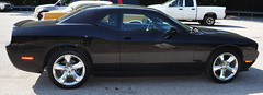 2013 Dodge Challenger • <a style="font-size:0.8em;" href="http://www.flickr.com/photos/85572005@N00/9431753270/" target="_blank">View on Flickr</a>