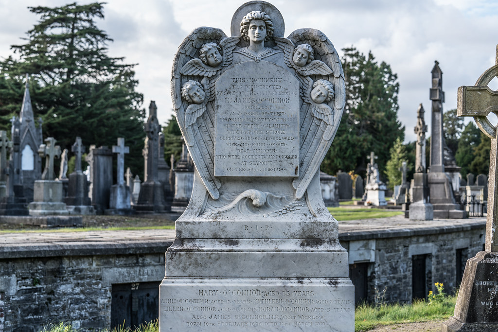 A QUICK VISIT TO GLASNEVIN CEMETERY[SONY F2.8 70-200 GM LENS]-122068