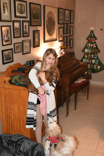 Nora with the dogs before the show. • <a style="font-size:0.8em;" href="http://www.flickr.com/photos/96277117@N00/31020837120/" target="_blank">View on Flickr</a>