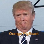 Orange Pigbeast