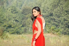 South Actress Deepika Das Hot in Red Sari Photos Set-5 (18)