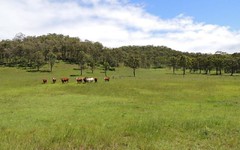 Address available on request, Oaky Creek QLD