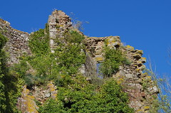 Brosse castle ruins