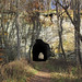 Interurban railway tunnel through Black Hand Sandstone (Lower Mississippian; Black Hand Gorge, Ohio, USA) 1