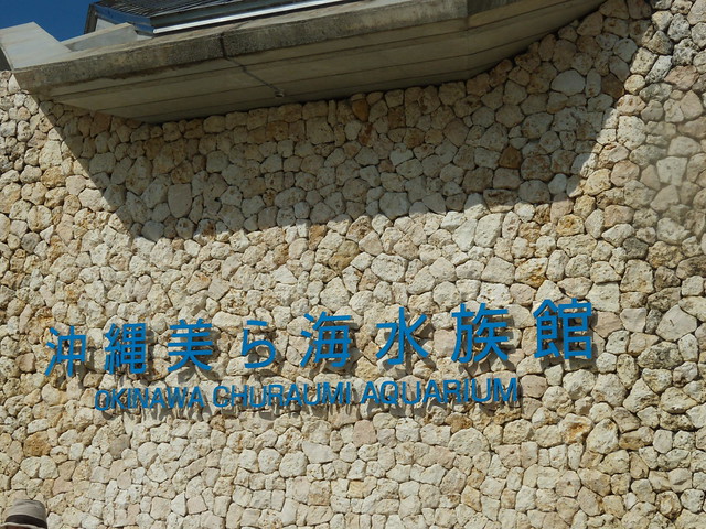 ２日目はいちばん楽しみにしていた「沖縄美ら海水族館」へ向か。｜沖縄美ら海水族館