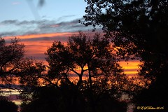 October 15, 2016 - A gorgeous sunrise in Adams County. (Ed Dalton)