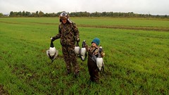 Geese Hunting In Estonia