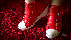 Dorothy's Ruby Shoes