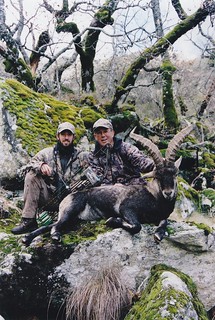 Spain Ibex Hunt & Driven Partridge Hunts 62