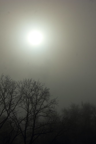 Morgensonne im Nebel (4) • <a style="font-size:0.8em;" href="http://www.flickr.com/photos/69570948@N04/30634219493/" target="_blank">Auf Flickr ansehen</a>