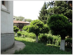 Mânăstirea Cocoș