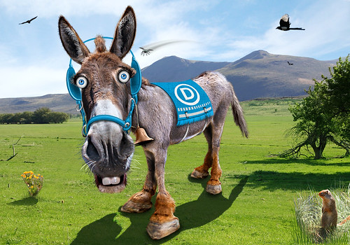 Democratic Donkey - Caricature