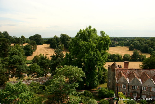 View from the tower 1