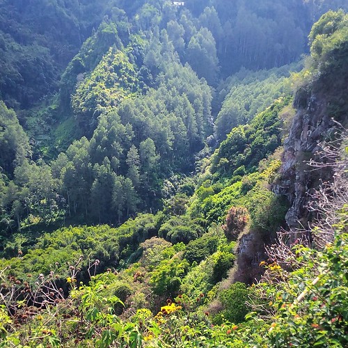 Maribaya Valley, to the north from Tebing Keraton