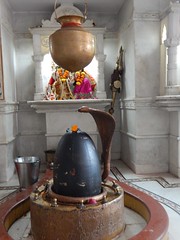 Shri Purshottam Lalsai Dham Mumbai Photos Clicked By CHINMAYA RAO (46)