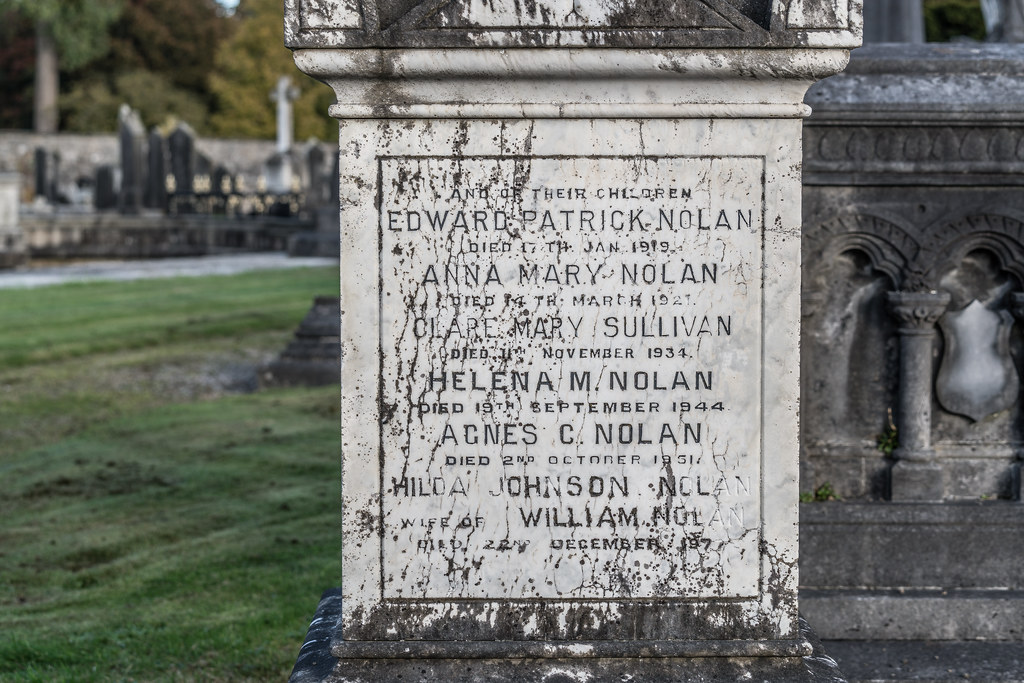 A QUICK VISIT TO GLASNEVIN CEMETERY[SONY F2.8 70-200 GM LENS]-122092