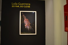 LOLA GUERRERA (2)