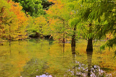 秋染湖水彩漾林　Lake in autumn colors