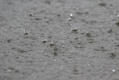 Raindrops, From FlickrPhotos