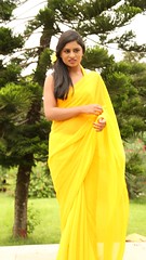 South Actress Deepika Das Hot in Yellow Sari Photos Set-2 (1)