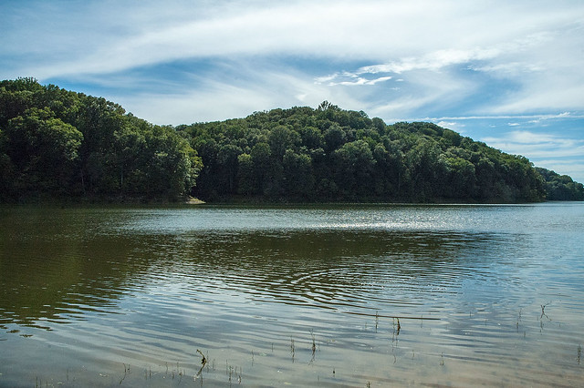 Lake Monroe - Allen's Creek - July 2013