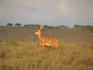 South Africa Hunting Safari - Eastern Cape 22