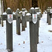 Cmentarz w Ościsłowie (4) • <a style="font-size:0.8em;" href="http://www.flickr.com/photos/115791104@N04/13979794912/" target="_blank">View on Flickr</a>