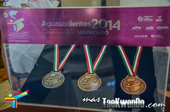 Previa Aguascalientes 2014, 11-09-14