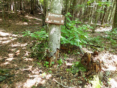 Mount Josephine trail marker