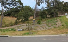 Lot 309 Fitzwilliam Circuit, Macquarie Hills NSW