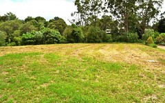 Lot 8 ALAND Place, OLD ORCHARD, Palmwoods QLD