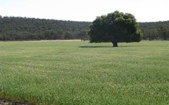 'Pine Range', Beckom NSW