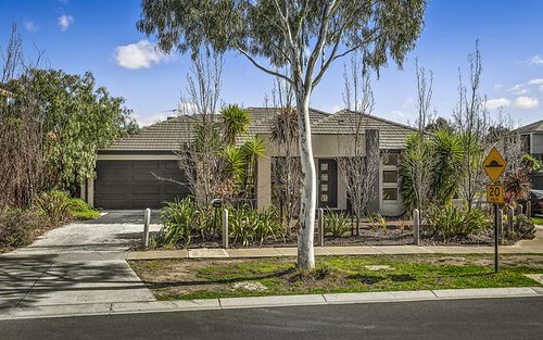 10 Cardamon Cr, Point Cook VIC 3030