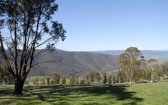 Lot 4, Stage 2 High Forest Road, Omeo VIC