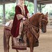 Traditionale Arabian Riding ACh 6.pl Alicja Poszepczynska & Galahad POL 3234