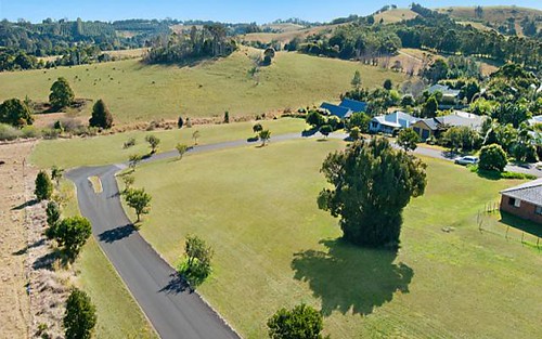 Lot 9 Parrot Tree Place, Bangalow NSW