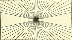 Anglų lietuvių žodynas. Žodis geometric distortion reiškia geometrinis iškraipymas lietuviškai.