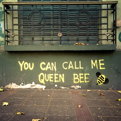 You can call me queen bee