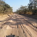 The road from Kigoma to Mpanda, just outside Mpanda is sandy • <a style="font-size:0.8em;" href="http://www.flickr.com/photos/50948792@N02/14563469361/" target="_blank">View on Flickr</a>