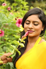 South Actress Deepika Das Hot in Yellow Sari Photos Set-2 (10)