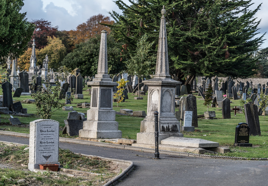 A QUICK VISIT TO GLASNEVIN CEMETERY[SONY F2.8 70-200 GM LENS]-122061