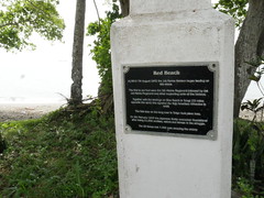 Red beach, Guadalcanal!