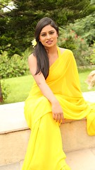 South Actress Deepika Das Hot in Yellow Sari Photos Set-2 (2)