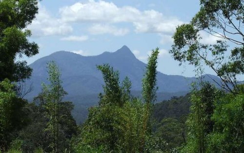Mount Burrell NSW