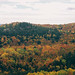 Marquette Fall Colors Panorama